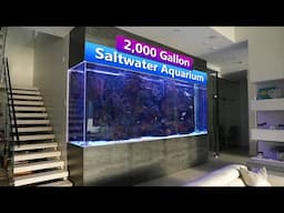 2000 Gallon 16' Saltwater Aquarium Tank Tour