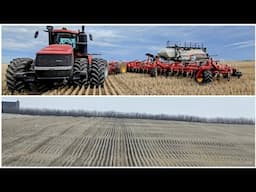 Seeding between the rows 👌