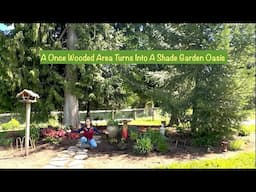 A Shade Garden With Many Amazing Perennials + Planting Tips