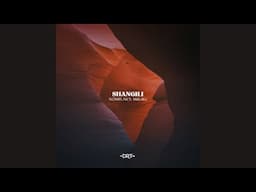 Nomis (FR) feat.Nes Mburu - Shangili (Extended Mix)