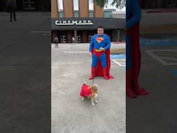 Getting The Superman Popcorn Buckets