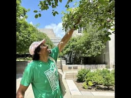 Eats Wild Episode 4: Beloved berries