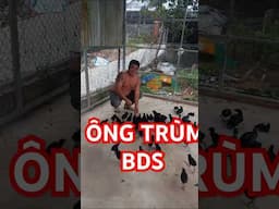 về làm kinh tế vùng sông nước cùng ông chủ ĐẤT