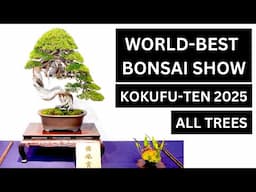 KOKUFU-TEN 2025 ALL EXHIBITED BONSAI - Exhibition Part 1