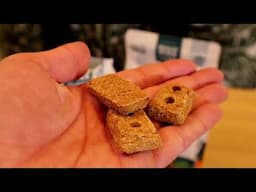 Bully Max Premium High Protein Dog Treats Taste Test Review