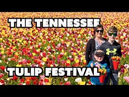 THE TENNESSEE TULIP FESTIVAL | Lucky Ladd's Farm in Eagleville, Tennessee