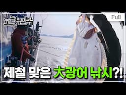 [Full] 고향민국 - 보령, 초록빛 바닷물에