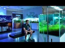 THE BEST AQUARIUM GALLERY IN THE WORLD? Full Tour Of ADG In Houston Texas