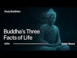 The 3 Things the Buddha Said About Reality | Robin Moore