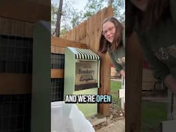 Stock my newest little free library with me!