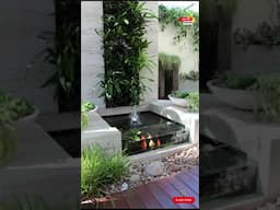 Modern Garden Pond Designs EXPOSED What's REALLY Best for Your Yard #fyp #ytshorts #garden #pond