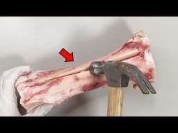 Strange Organ Inside a Bone!