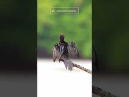 Zoom Testing