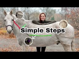 How to Clip A Horse 🐴