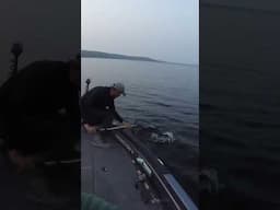 Fishing SUPER CLEAR water for BIG Muskies! #shorts #adventure #musky #muskie #fishing