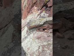 Trundling loose block off of a new route! #climbing #rockclimbing