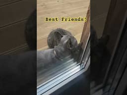 You never know when you need a friend!