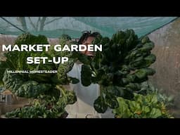 Summer vegetables you can still grow now | Market garden set-up | Millennial Homesteader