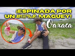 Me accidenté en un palenque de mezcal 😱 + comida típica y artesanía en Oaxaca 🇲🇽