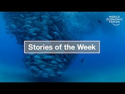 Gender Parity & Tokenization Explained | WEF | Top Stories Week