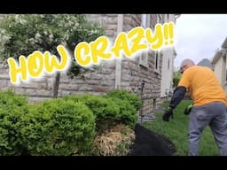 Mulch Madness Continues | Help Me Make Sense Of It #lawncare #toroeeyewear