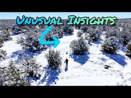 5 Months of Moisture In 1 Day, The Insights, GTO Talk EP.7