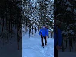 Winter hike #hiking #winter #mountains