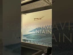 New Easyjet Winter Destination - Fly it Now! #a320  #msfs2020 #msfs2024 #flightsimulator #easyjet