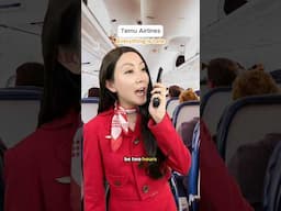 When you fly TEMU AIRLINES