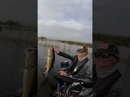 “I know I’ll catch 5 big ones”.
