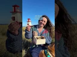 I Tried an Oyster Picnic at a Lighthouse and It Was Wild!