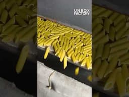 Untouched & Healthy Pasta Making Process at Pastallio Factory | Inside Factory Tour