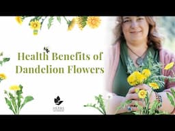 Dandelion Flower Benefits for Your Health