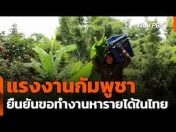 แรงงานกัมพูชา ยืนยันขอทำงานหารายได้ในไทย | ข่าวค่ำ | 16 มิ.ย. 68