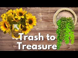Trash to Treasure
