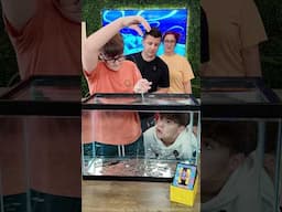 Drop the quarter and win the prize!
