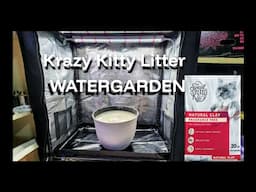 KRAZY KITTY LITTER WATERGARDEN