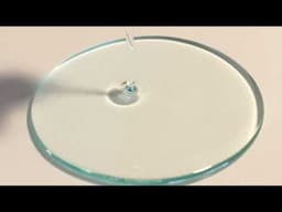 Solarez: Polyester Gloss - Clear Finish Resin