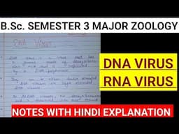 DNA VIRUS NOTES ||BSC SEM 3 ZOOLOGY NOTES #bsc #msc @ZOOLOGYNOTES #vbu #bbmku #skmu