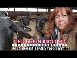 Why Sheep Farmers Need Thick Skins | Tough Realities Of Farm Life