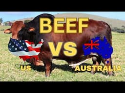 Beef Wars: Analyzing the U.S. and Australian Industries!