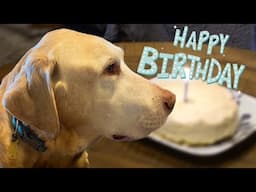 Ridgway World-PoopJohn turns 15