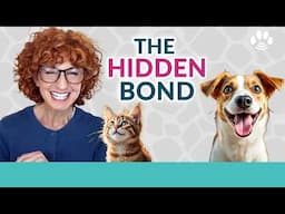 How To Find Out Your Pet’s Soul Contract!