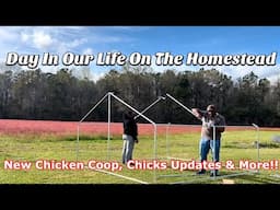 *NEW BUILDING A NEW CHICKEN COOP/ DITL ON THE HOMESTEAD/ 1998 MOBILE HOME #homestead #mobilehome
