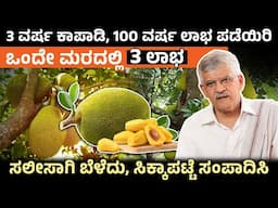 ಈ ಕೃಷಿ ಮಾಡಿದ್ರೆ 4 ವರ್ಷಕ್ಕೆ ಇಳುವರಿ,100 ವರ್ಷ ನಿರಂತರ ಆದಾಯ | ಒಂದು ಮರ 3 ಲಾಭ | Jackfruit Cultivation Ideas