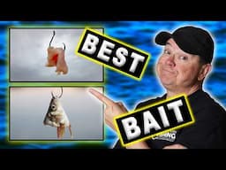 Picking the Catfish Bait that Works Best