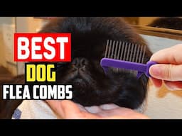 ✅Top 5 Best Dog Flea Combs in 2025