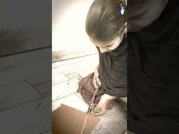 From Struggle to Success || Fashion Designing || Youth Veerangnayen