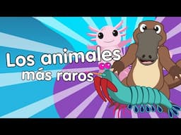 Los Animales más Raros - Canciones Infantiles