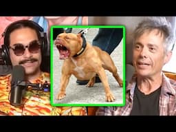 Homeless Guy Talks About Owning a Pit Bull